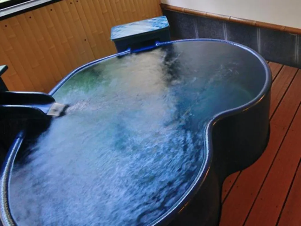 Hadano Yugawara Onsen Manyo No Yu Hotel